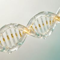 三文鱼源PDRN vs 植物源：分子量与透皮技术才是抗老修复的关键差异