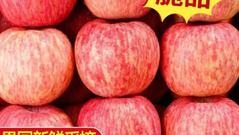 白酒15年是陈酿，苹果放一年就是狠活？揭秘苹果“保鲜”真相 “新鲜”二字竟是最大的骗局？很多人宁愿追捧勾兑的陈酿，也不愿相信现代科技能让苹果“停掉时间”。本视频带你拆解苹果背后的生命科学，看清食品工业是如何顺应自然规律，打破季节限制。知识的断层往往催生恐惧，看懂了这种“黑科技”，你才能真正实现水果自由。
#苹果 #科技与狠活 #科普真相 #食品安全 #富士苹果