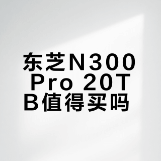 东芝N300 Pro 20TB值得买吗?全网用户观点大PK