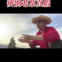 辨别茶的品质高低，茶的真假，不受包装纸的影响，要看茶，闻茶，品茶断真假！