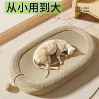 26年穷鬼养猫十件套#猫科普#宝贝年味企划#万物可爱计划#萌宠帮帮团