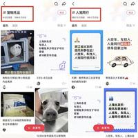 宠物成“春运”新乘客,天猫宠物出行刚需爆发,宠物推车成交翻倍