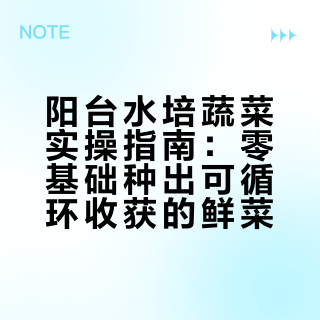 阳台水培菜园｜0 基础实现蔬菜自由！