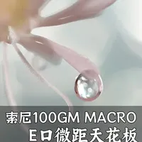 拍虫拍花拍静物，索尼百微一镜承包微观美 索尼 GM 百微镜头实拍展示！1.4 倍原生放大 + 2.8 倍极限微距，高速对焦 + 纵深防抖，微观细节一拍即清，焦外虚化柔美感拉满～#索尼 #索尼微单 #索尼A7r5 #微距 #微距摄影