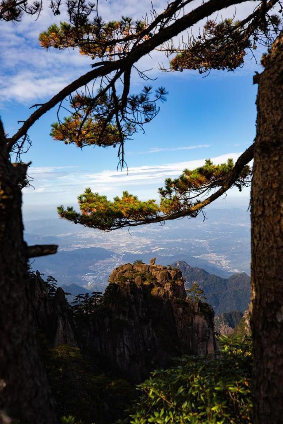 美国人全家定居中国,去安徽黄山旅行,感叹中国环境太好了!