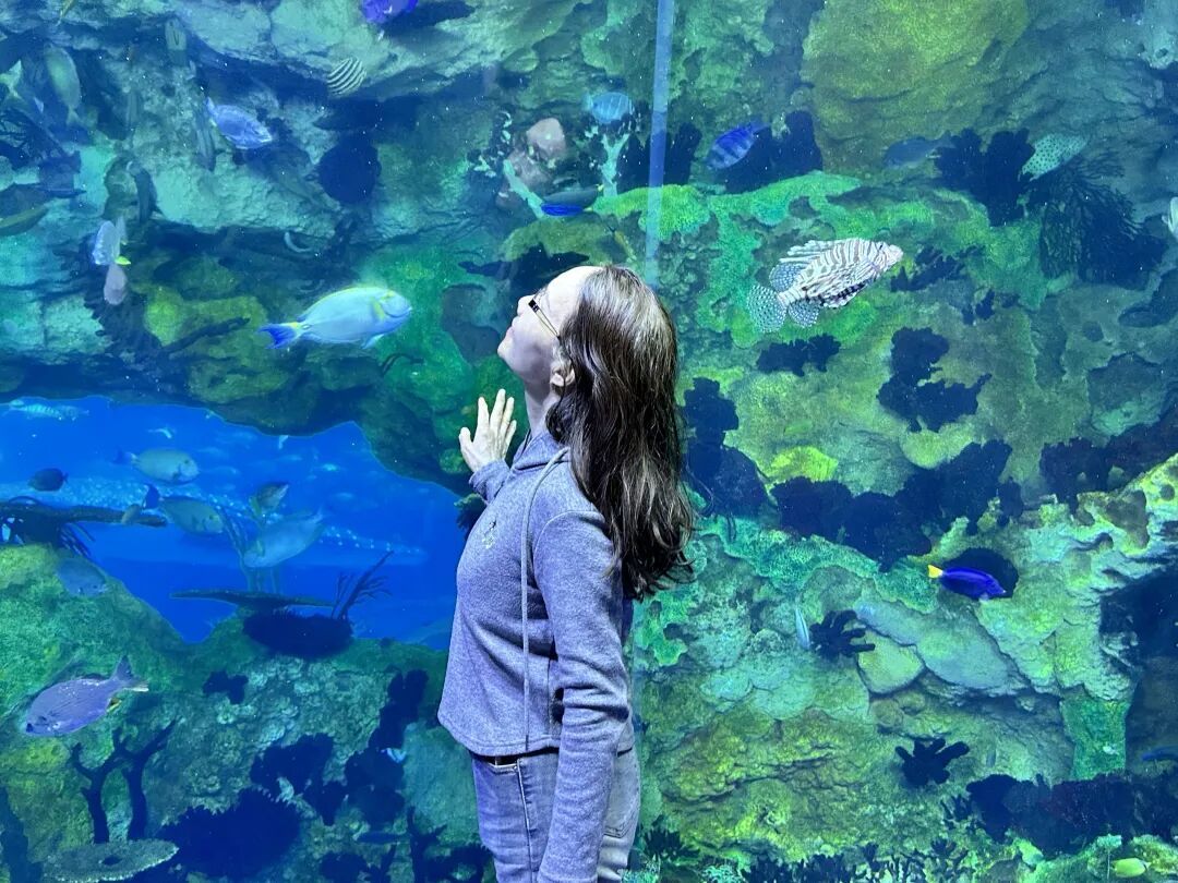珠海长隆海洋王国一日游，脚步缓慢看不过来