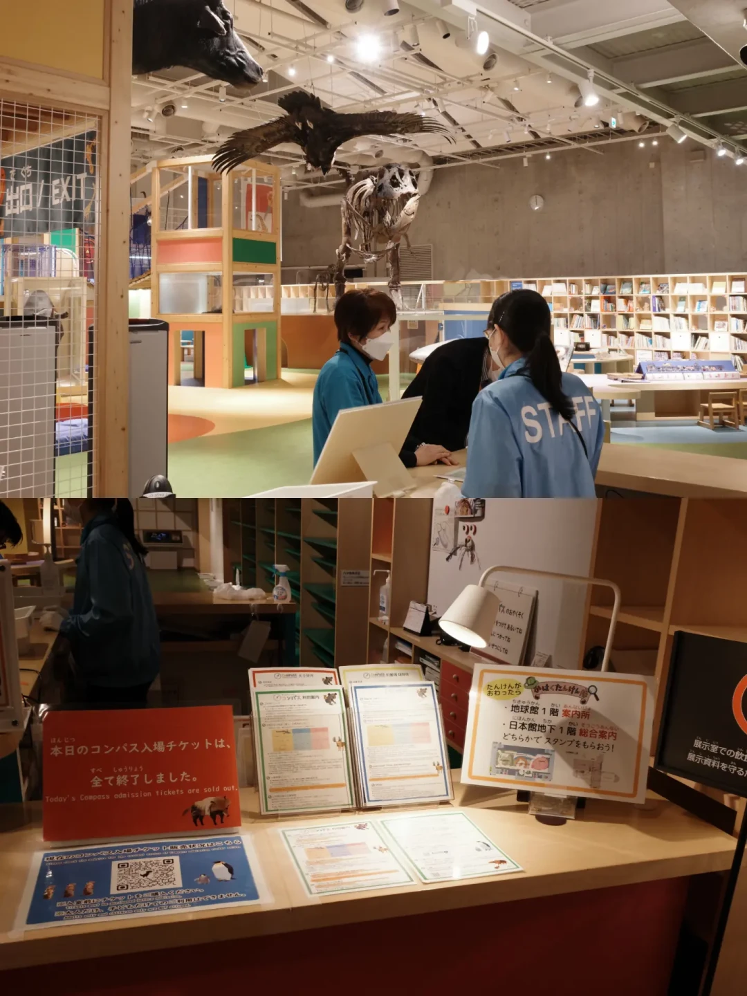 东京国立科学博物馆 🦕眼皮底下的儿童乐园