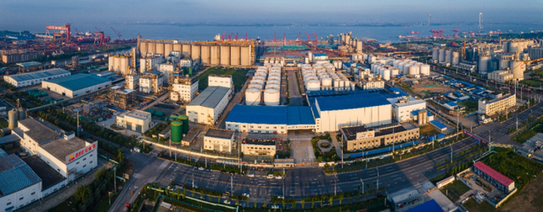福布斯洞察|从中国餐桌到世界舞台,金龙鱼用创新讲好东方粮油故事