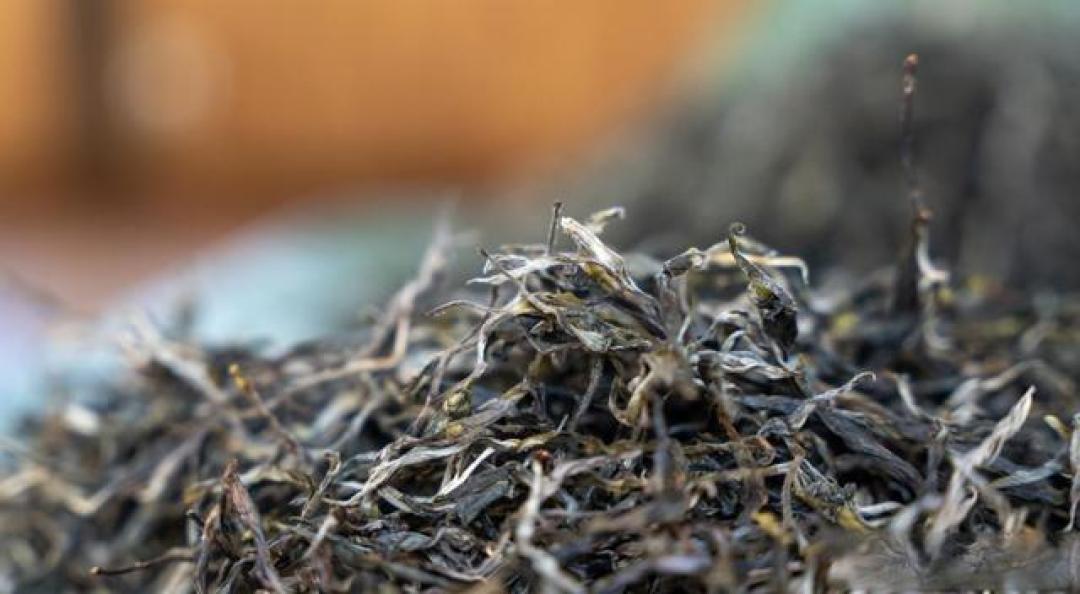 掌握这四种普洱茶的“脾气”,你的茶汤才能好喝到惊艳!