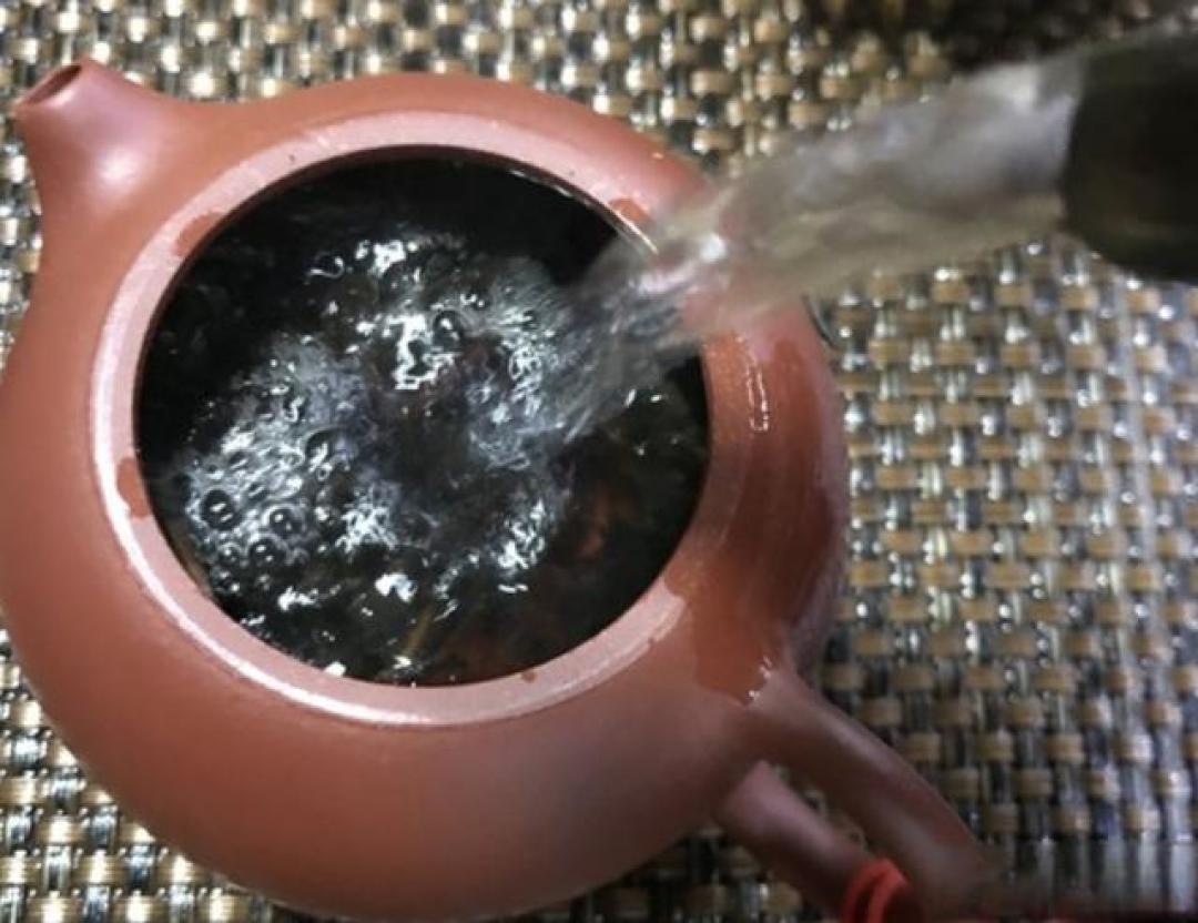 掌握这四种普洱茶的“脾气”,你的茶汤才能好喝到惊艳!