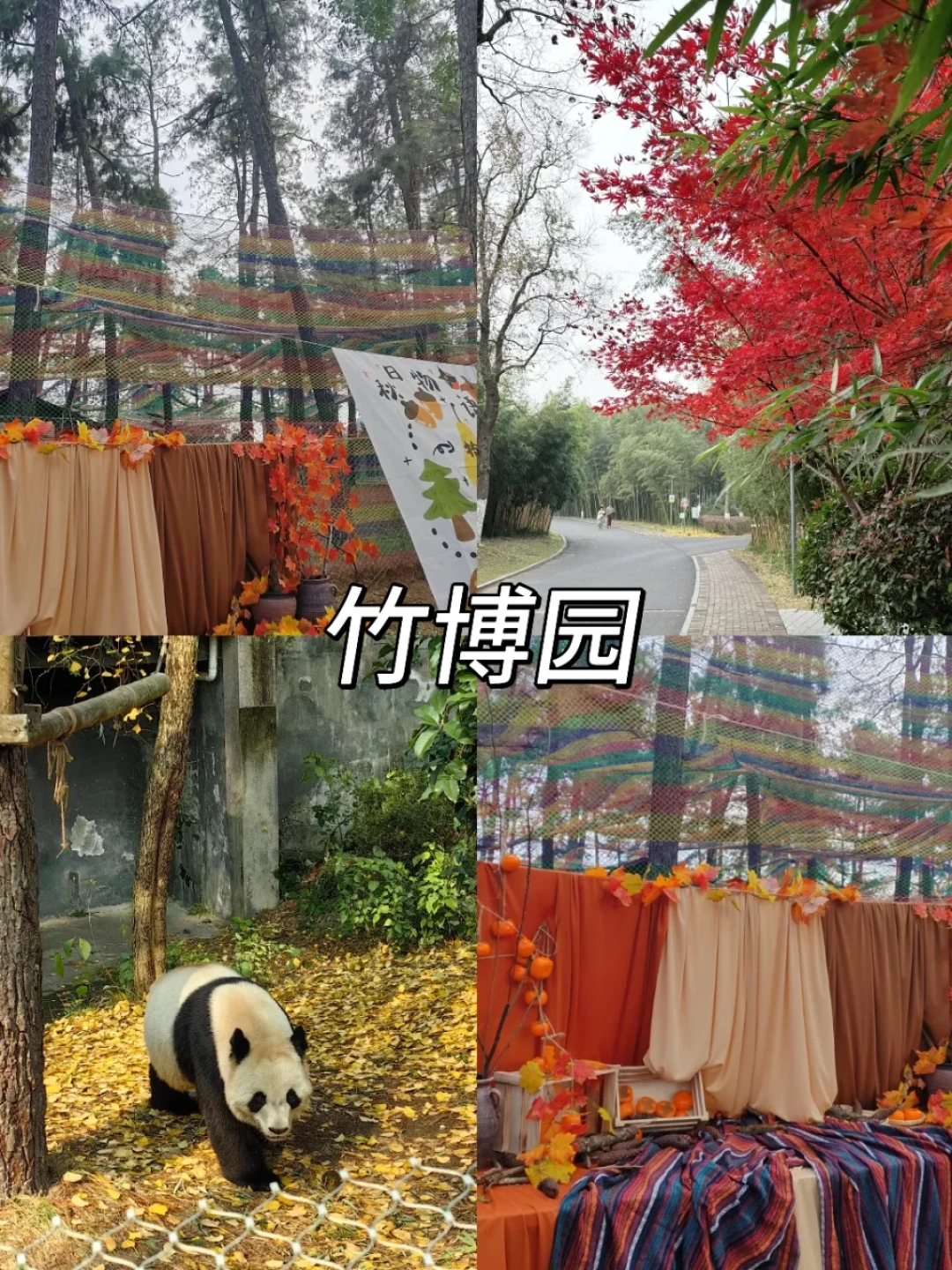 安吉冬日暖游｜带爸妈轻松逛吃～