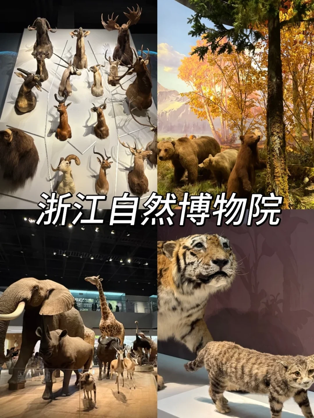 安吉冬日暖游｜带爸妈轻松逛吃～