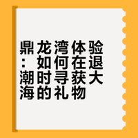 🦀湛江吴川鼎龙湾｜会发光的海岸线✨