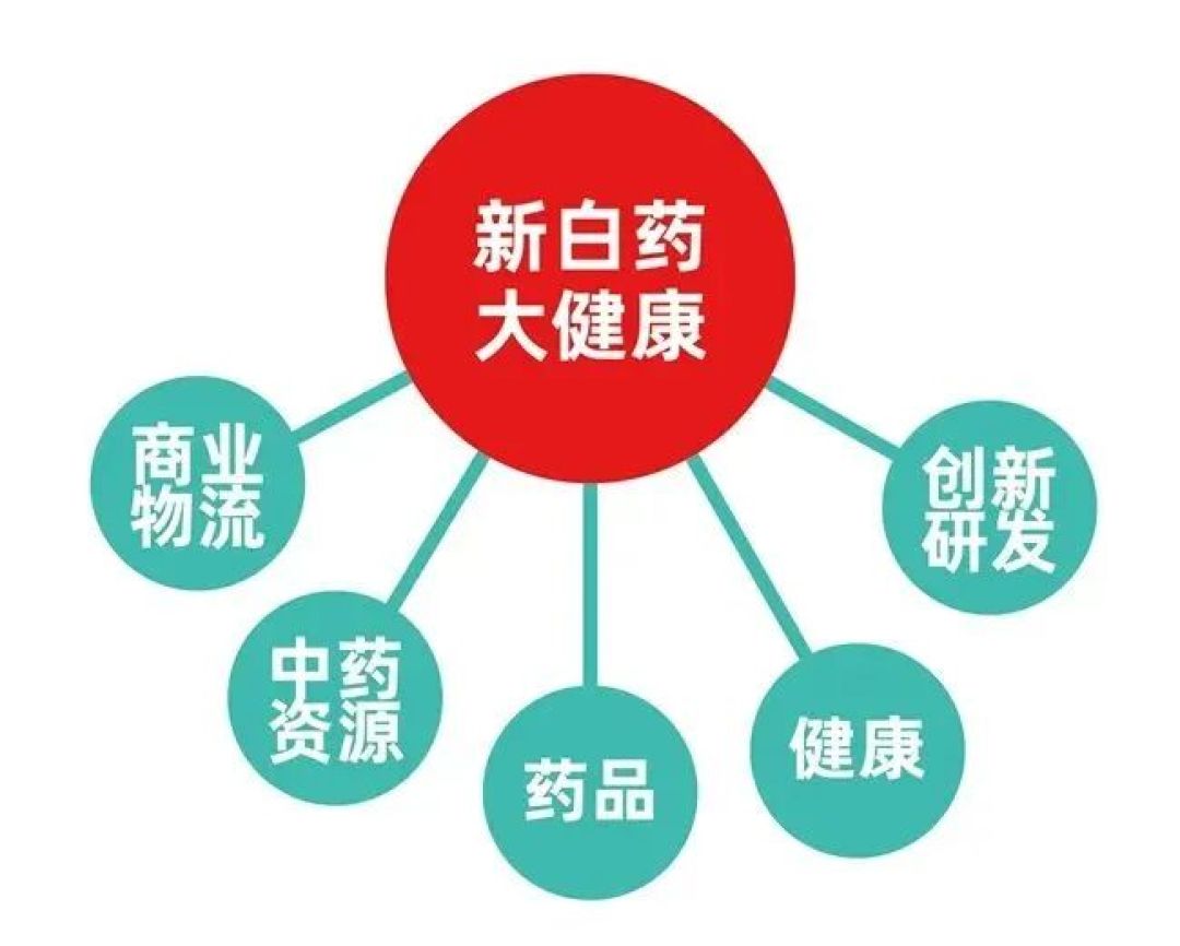 药课堂 | 课堂作业——波特五力模型分析之云南白药集团