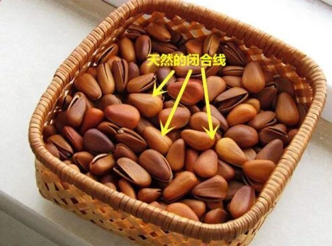 你随手丢掉的人家卖上万！你肯定见过、玩过！