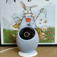 什么是具身智能摄像头？华为鸿蒙智选海雀雀蛋Pro深度评测