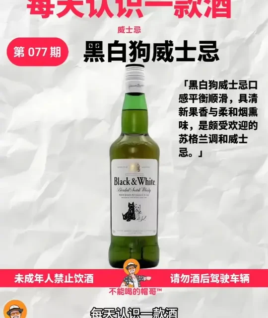 每天认识一款酒I黑白狗 #每天认识一款酒 #不能喝的帽哥 #威士忌 #黑白狗