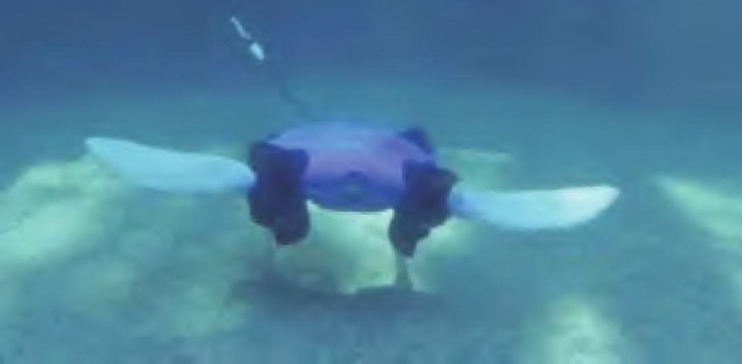 海洋论坛▏仿生水下机器人发展现状及关键技术分析
