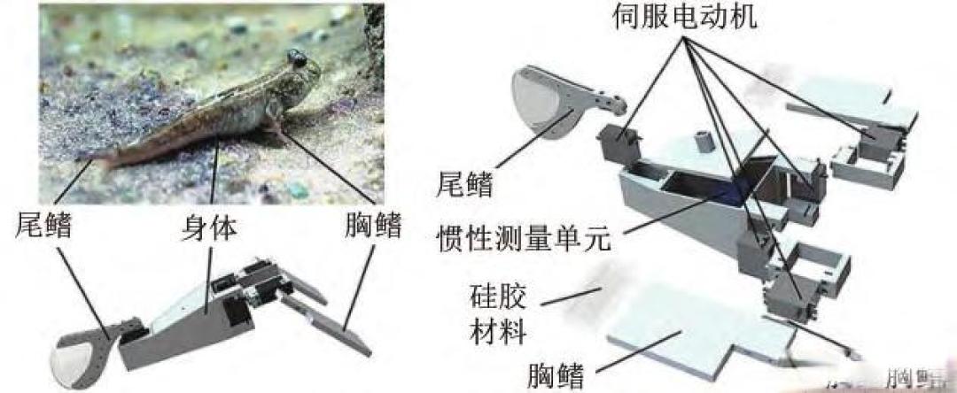 海洋论坛▏仿生水下机器人发展现状及关键技术分析