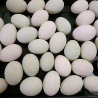 腌咸鸭蛋，20天流油起沙，特别实用川菜做法大全2021年1月2日 13:291人星标