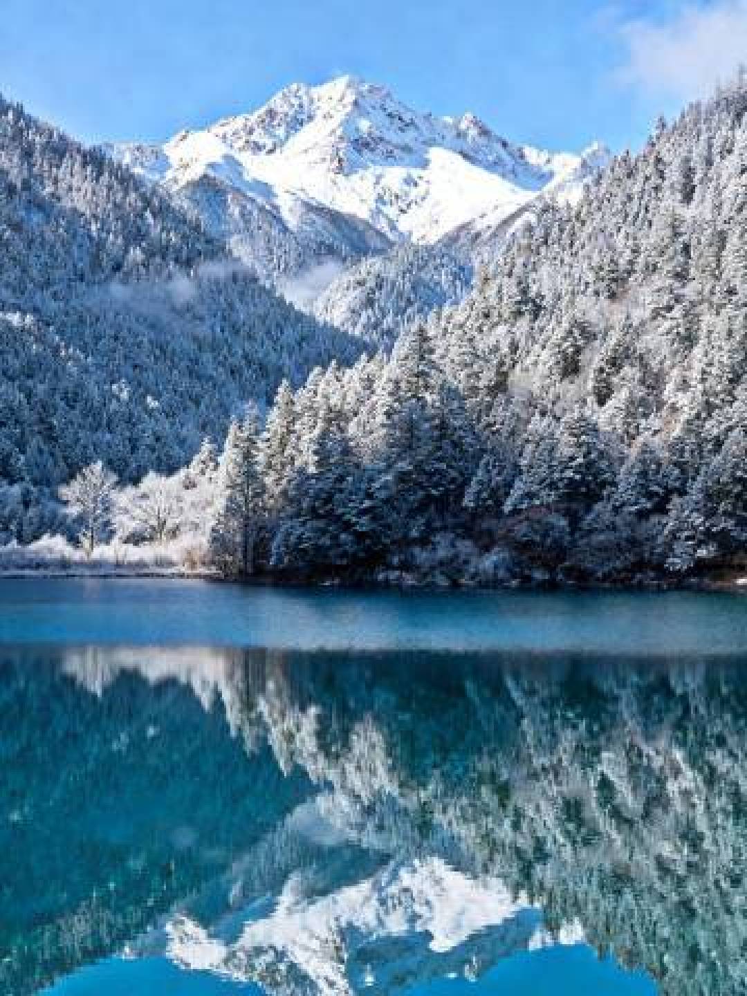 闯入冬日九寨沟,一幅冰雪绘就的瑶池水墨仙境图