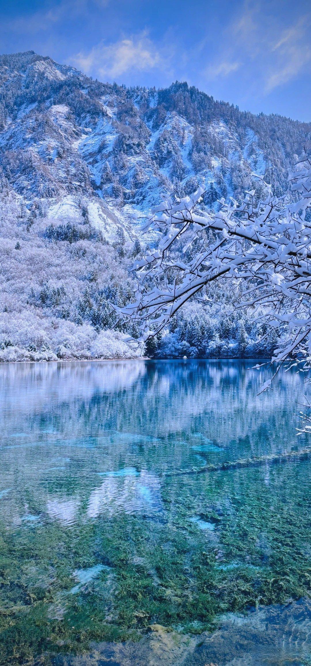 闯入冬日九寨沟,一幅冰雪绘就的瑶池水墨仙境图