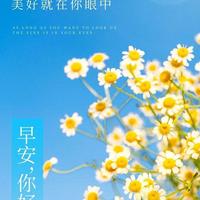 肾内结石1公分如何消？中医自拟金钱草汤：利湿通淋消石化瘀挺好