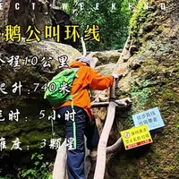 渝北神龙谷，重庆主城区天花板徒步路线推荐，导航龙门社区村民委员会，全程10公里爬升800m，路线丰富而且刺激，峡谷穿越，攀岩，索降，土路，野穿，屁降，体验感拉满，装备推荐防滑鞋，手套，水，登山杖，最后提醒大家，下雨天千万别去，安全第一!#爬山 #重庆徒步路线 #神龙谷鹅公叫环线 #周末爬山