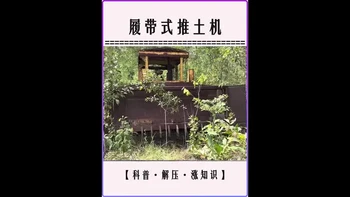 七旬老人在农场发现一台履带式推土机，荒废20年后竟然成功启动 #老车翻新 #老车修复 #履带式推土机