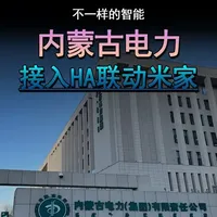 内蒙古电力接入ha与米家联动的保姆级教程，不用中枢网关和巴法云也可以实现小爱同学实时查询！#米家 #全屋智能 #小爱同学 #电费