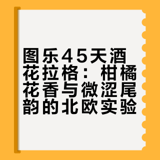 清爽北欧风 图乐四十五天酒花拉格啤酒