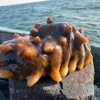 开春前扶正气、补肾精的食补第一选