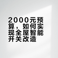 老公花了2000大洋把全屋开关换成智能的