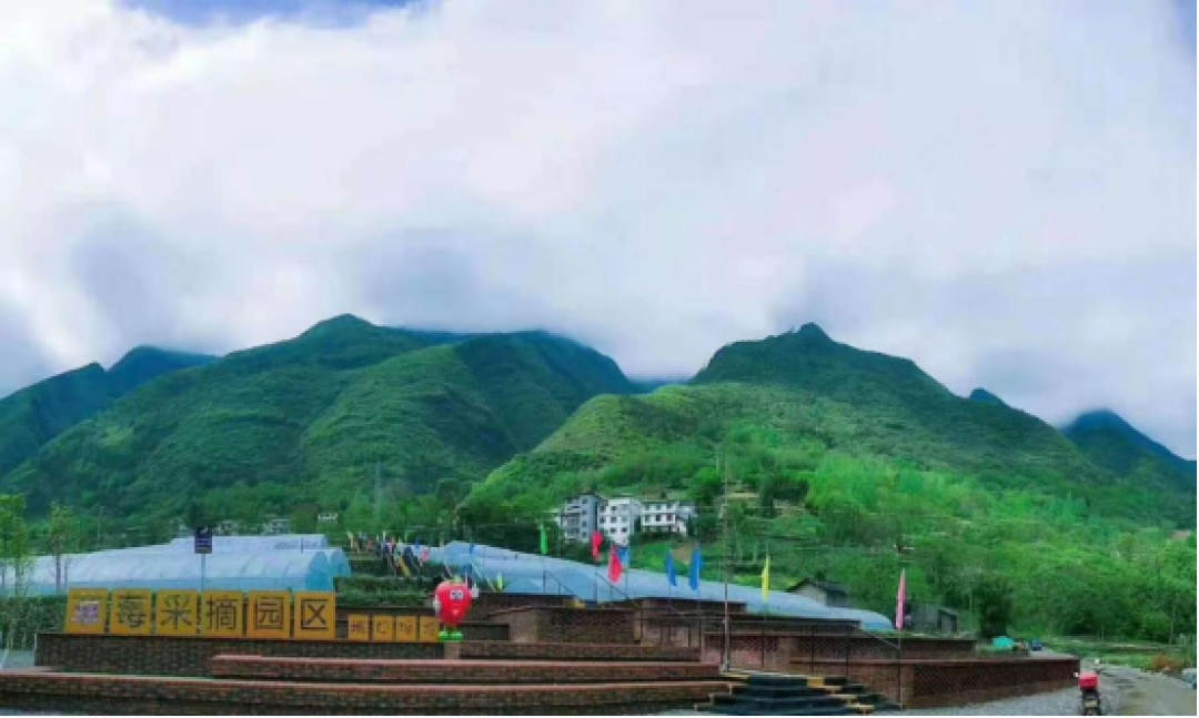 不止山水美!城口坪坝红色遗址打卡,读懂大巴山革命史诗