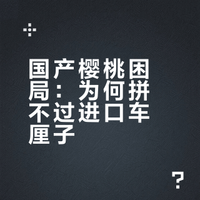 为什么车厘子这么贵还非常火？而便宜的国产大樱桃却很少听人提起？
