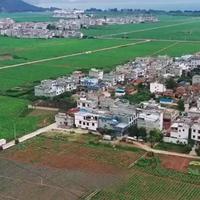 中国一个奇怪的现象：村里凡是大学毕业的子女，无论是博士……