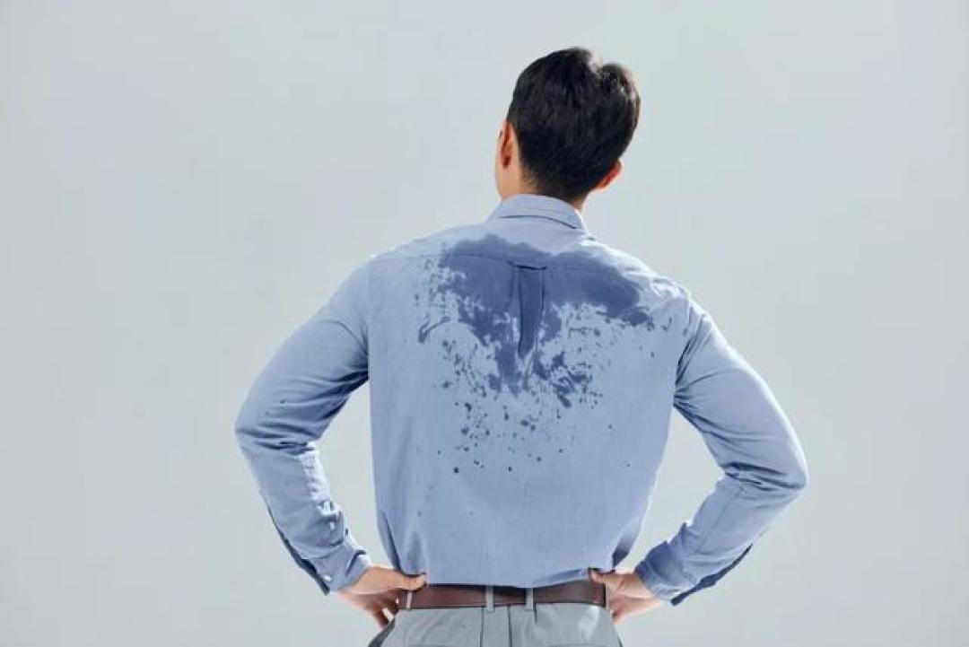 山茱萸巧搭配,补肝肾 固精气 养筋骨,三脏同调 百病皆消