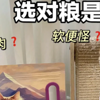 养猫必看：2026 优质猫粮选购技巧 + 高品质猫粮测评推荐