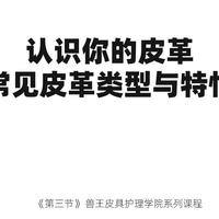 《常见皮革种类与特性》兽王皮具护理学院第三节