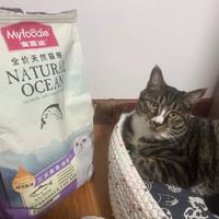 麦富迪三文鱼鱼油配方全价天然猫粮