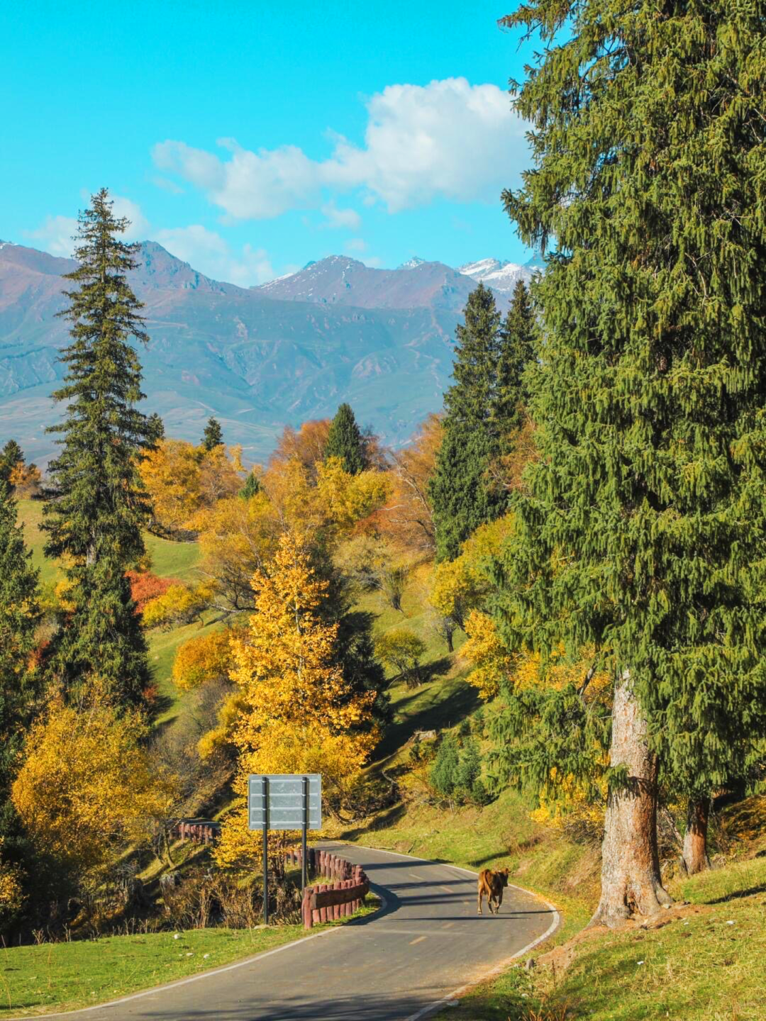 不是川西,不是内蒙!避开人挤人,9-10月小众天花板!反向旅行,我第一个推荐这里!