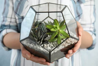 小众热爱，点亮生活