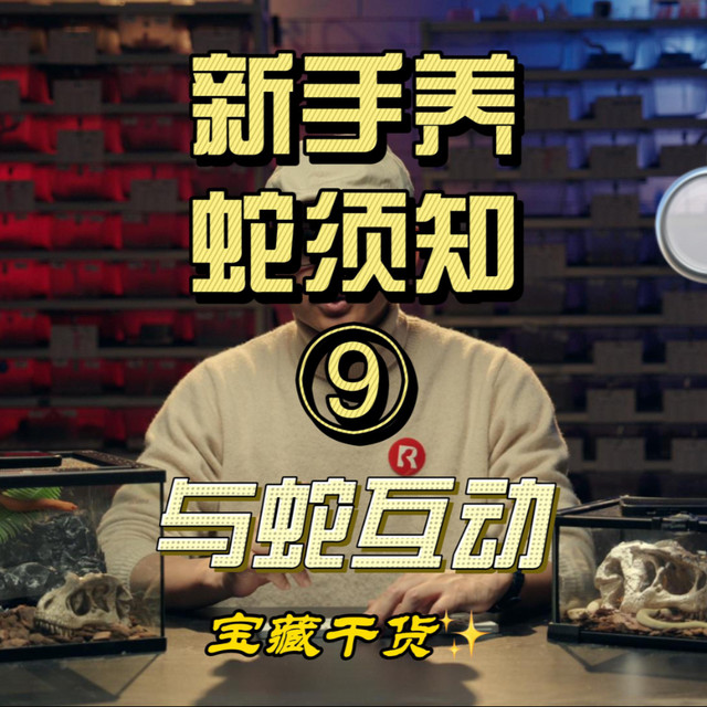 撸爬撸蛇初级篇如何上手也还是要根据自己对它的脾性了解，把玩久了就更好上手。#爬宠 #蛇 #神奇动物 #知识科普