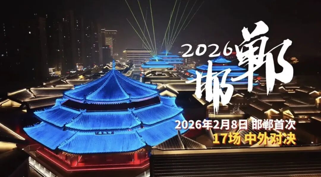 张伟丽创办综合格斗冠军赛首次亮相邯郸!