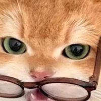猫咪挑食怎么办？2026高适口优质猫粮推荐，挑食猫必入！
