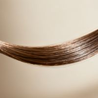 角蛋白与硅油之外：染后干枯发质真正有效的修复成分与适配方案