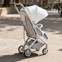 轻便遛娃车怎么选？贝易贝壳车与Bebebus蜻蜓车在折叠、避震和适龄性上的真实差距