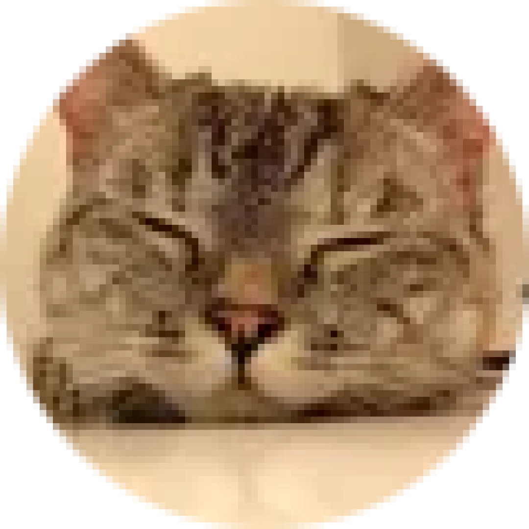 宁宇.png