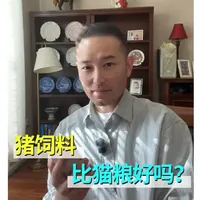 猪饲料可以喂猫吗？ #猫粮 #猪饲料喂猫 #新手养猫 #科学养宠攻略 #猫咪营养