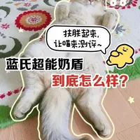 蓝氏奶盾猫粮深度测评：科学喂养新思路